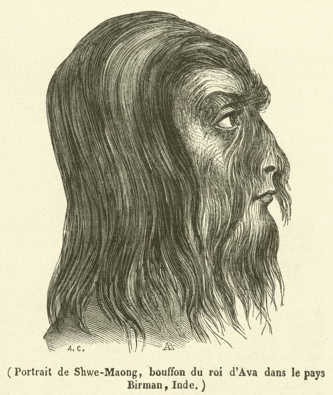 Ritratto di Shwe-Maong, buffone del re di Ava nel paese birmano, India da French School