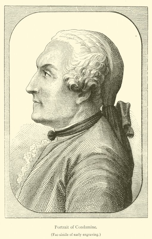 Ritratto di Condamine (incisione) da French School