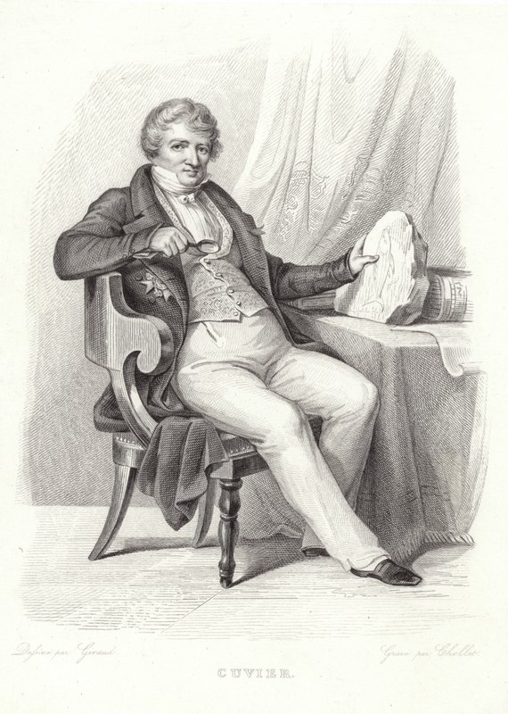 Ritratto di Georges Cuvier da French School
