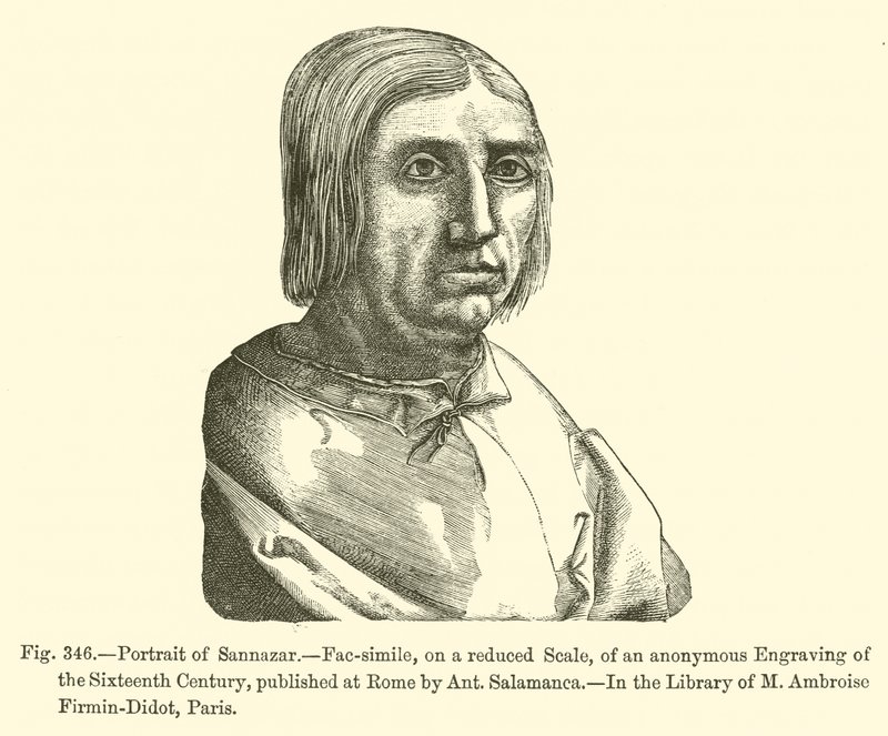 Ritratto di Sannazaro (incisione) da French School