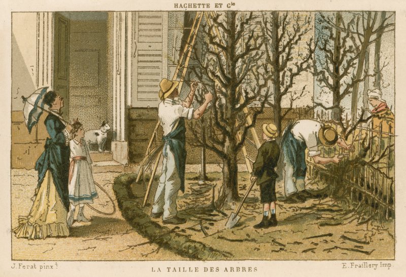 Potatura degli alberi da French School