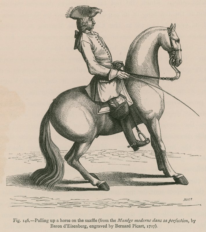 Fermare un cavallo con il morso da French School