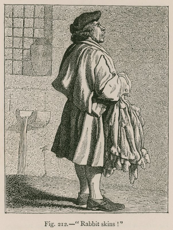 Pelli di coniglio da French School