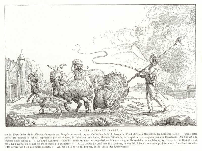Animali Rari da French School