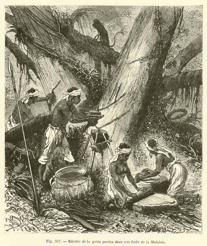 Raccolta della gutta-percha in una foresta della Malesia da French School