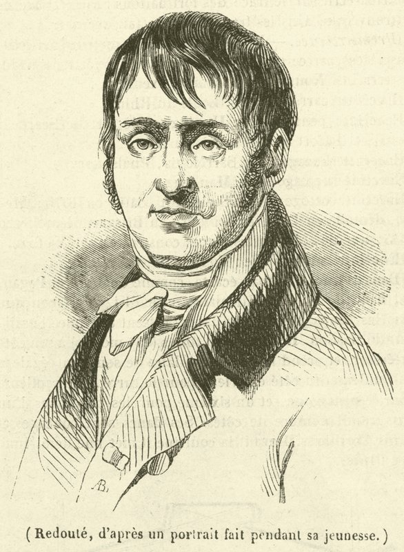 Redoute (incisione) da French School