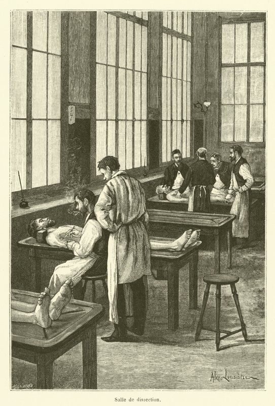 Sala di dissezione (incisione) da French School
