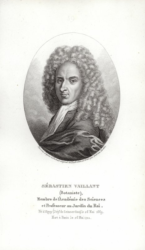 Sébastien Vaillant da French School