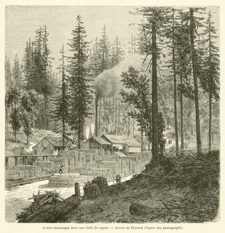 Segheria meccanica in una foresta di abeti da French School