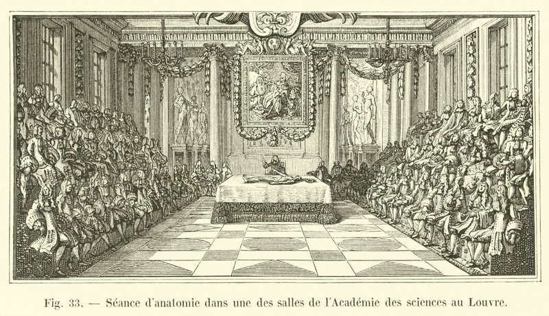 Seduta di anatomia in una delle sale dell