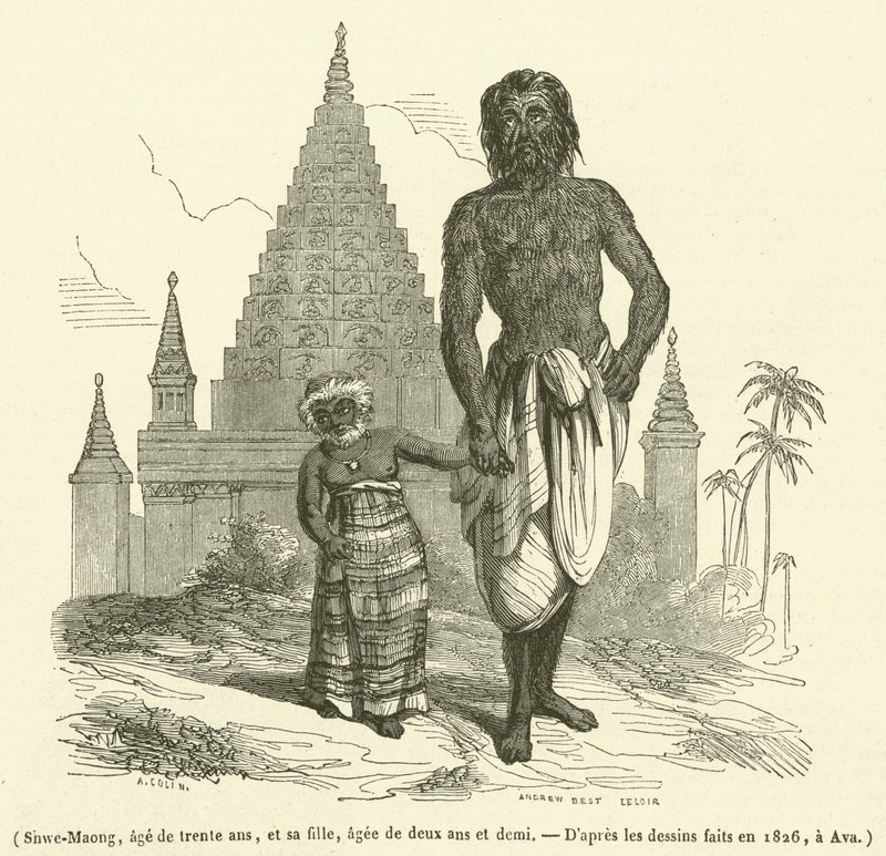 Shwe-Maong, di trent