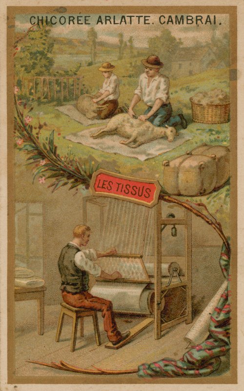 Tessuti da French School