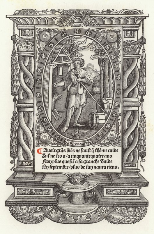 Le dodici età dell