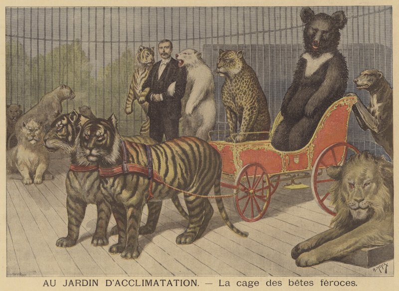 La gabbia degli animali feroci al Jardin d