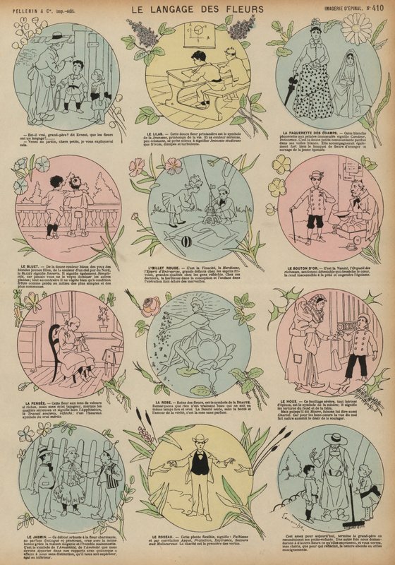 Il linguaggio dei fiori da French School
