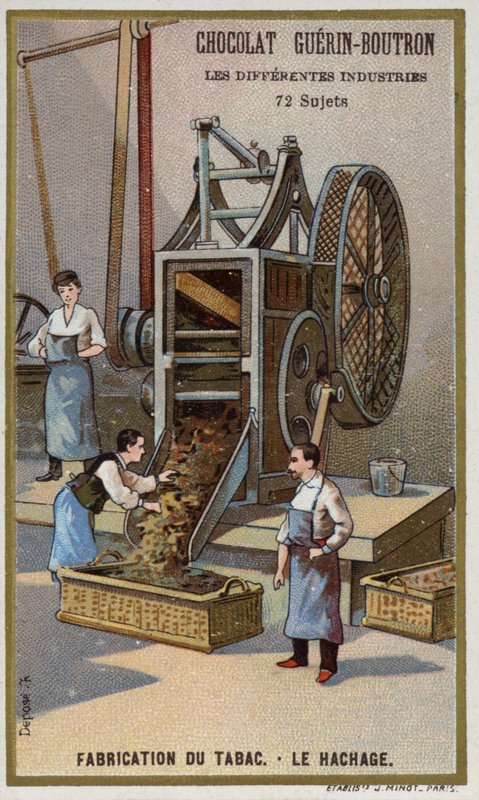 Produzione di tabacco. Sminuzzamento delle foglie da French School