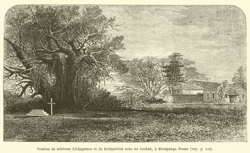 Tombe di mistress Livingstone e di Kirkpatrick sotto un baobab, a Shoupanga House da French School