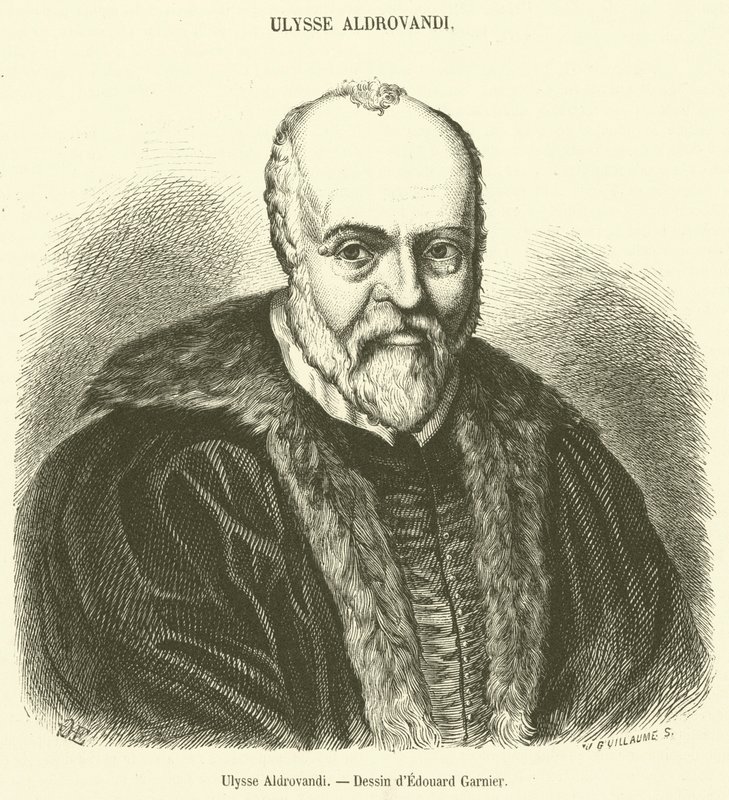 Ulysse Aldrovandi da French School