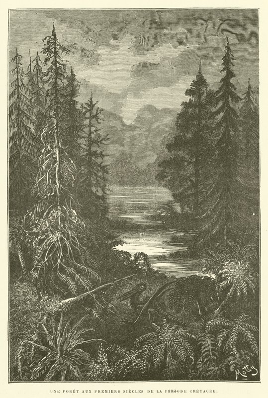 Una foresta nei primi secoli del periodo cretaceo da French School