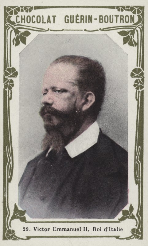 Vittorio Emanuele II, Re d