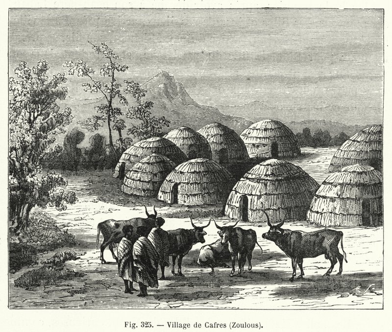 Villaggio di Cafri, Zulu da French School