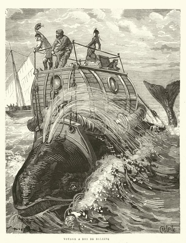 Viaggio a Dos de Baleine (incisione) da French School