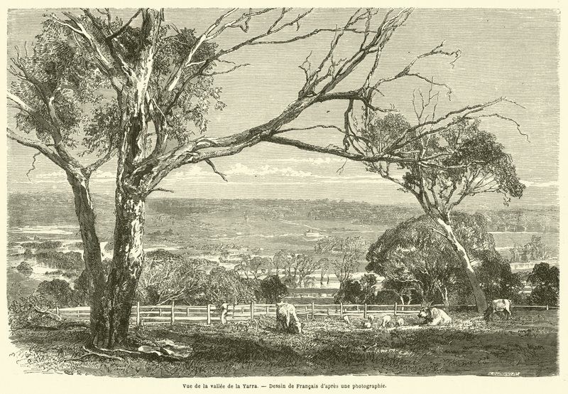 Veduta della valle dello Yarra da French School