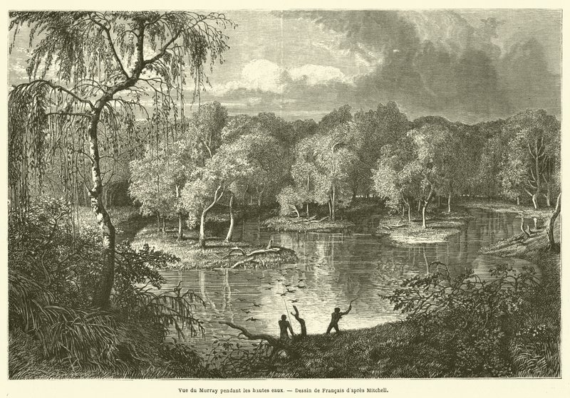 Vista del Murray durante le alte acque da French School