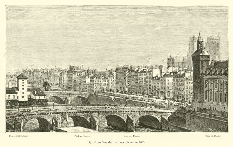 Vista del quai aux Fleurs nel 1855 da French School