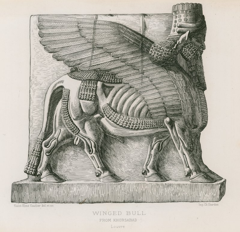Toro alato, da Khorsabad, Louvre da French School