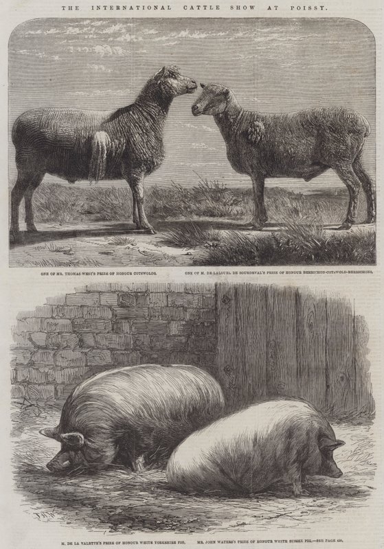 La mostra internazionale del bestiame a Poissy da Friedrich Wilhelm Keyl