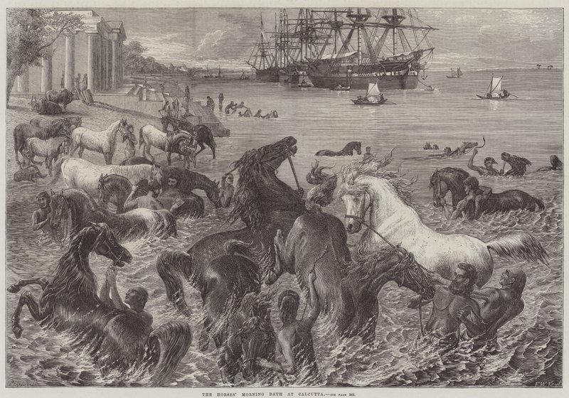 Il bagno mattutino dei cavalli a Calcutta da Friedrich Wilhelm Keyl