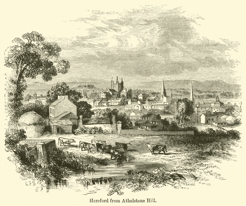 Hereford da Athelstane Hill da G. F. Sargent