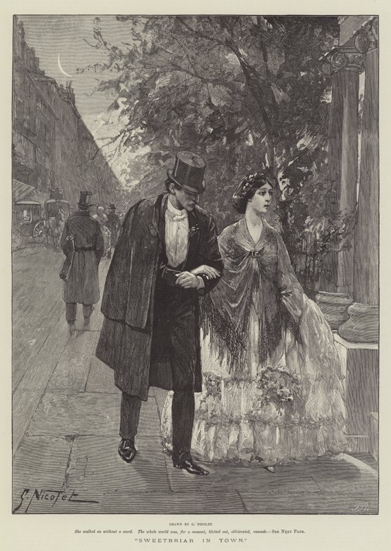 Rosa Canina in Città da Gabriel Nicolet