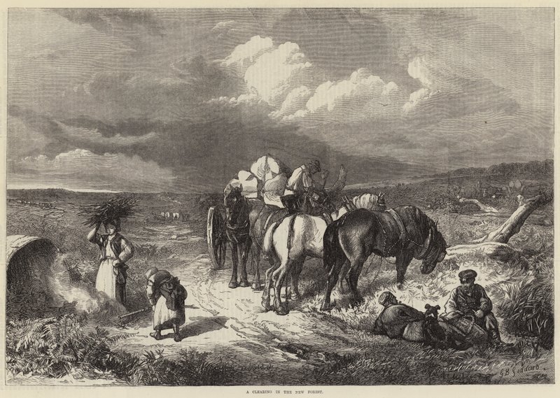 Una radura nella New Forest da George Bouverie Goddard
