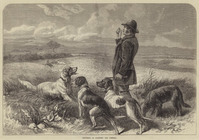 Addestramento di Pointers e Setters da George Bouverie Goddard