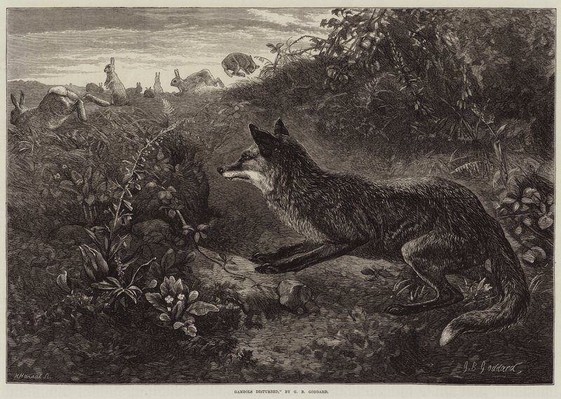 Giochi disturbati da George Bouverie Goddard