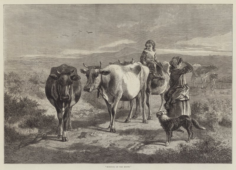 Mattina sulle brughiere da George Bouverie Goddard