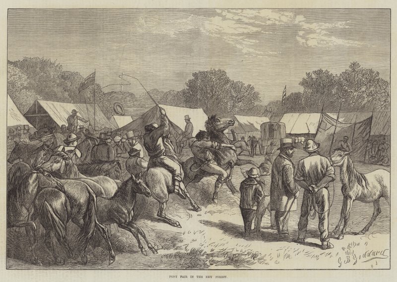 Fiera dei pony nella New Forest da George Bouverie Goddard
