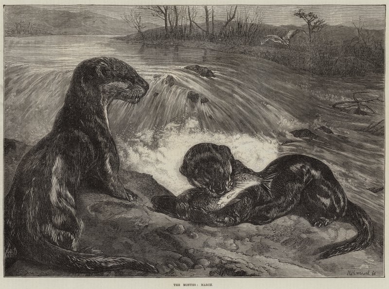 I mesi, marzo da George Bouverie Goddard
