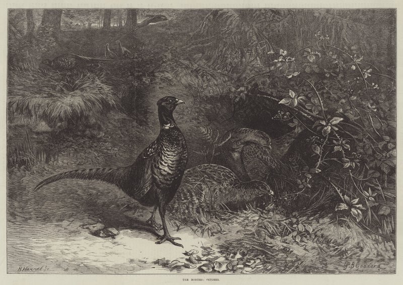 I mesi, ottobre da George Bouverie Goddard