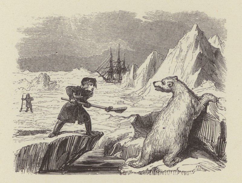 Il giovane Nelson che uccide un orso polare da George (after) Cruikshank
