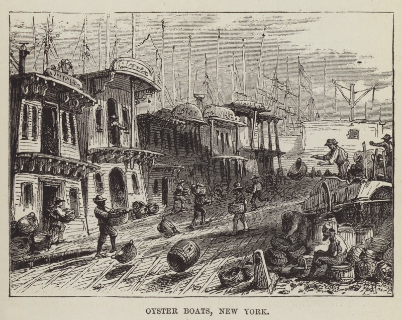 Barche per ostriche, New York da George Augustus Sala