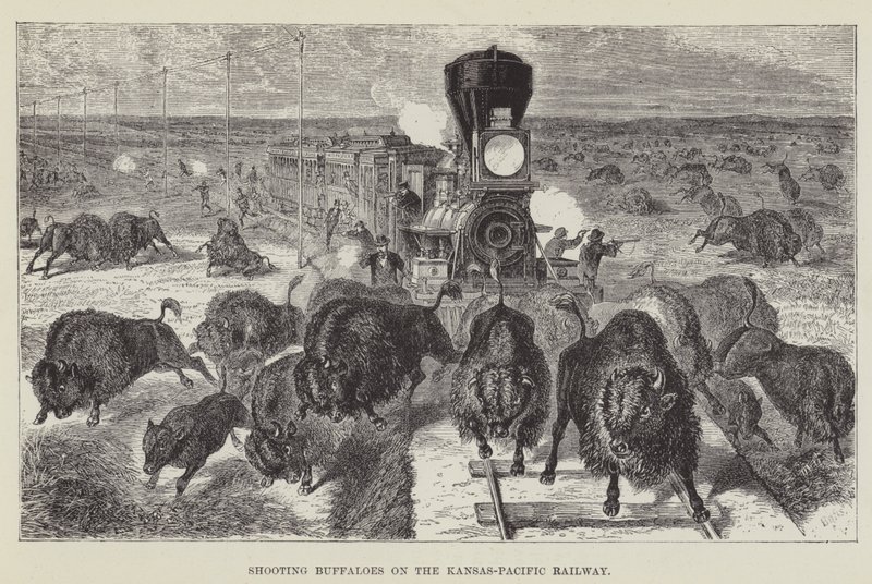 Caccia ai bufali sulla ferrovia Kansas-Pacific da George Augustus Sala