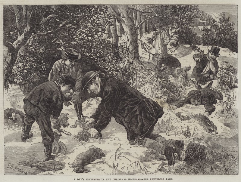 Una giornata di caccia ai conigli durante le vacanze di Natale da George Bouverie Goddard