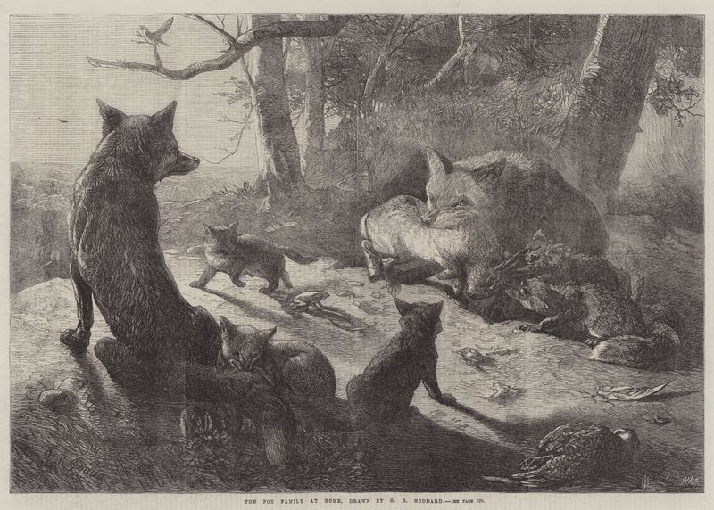 La famiglia di volpi a casa da George Bouverie Goddard