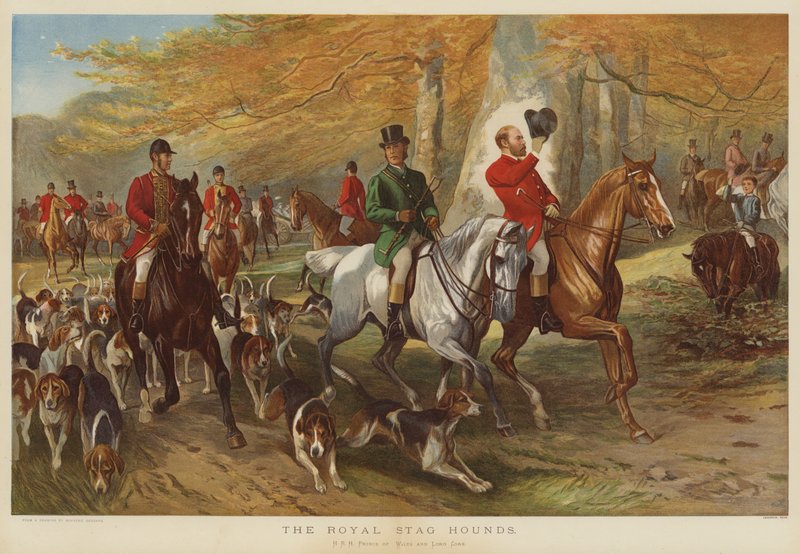 I cani reali da caccia, S.A.R. il Principe di Galles e Lord Cork da George Bouverie Goddard