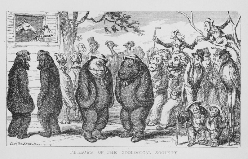Membri della Zoological Society da George Cruikshank