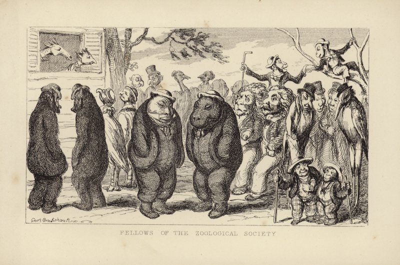 Membri della Società Zoologica da George Cruikshank