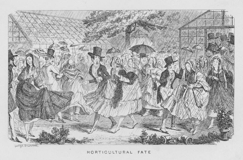 Destino orticolo, cioè pioggia a una festa da George Cruikshank
